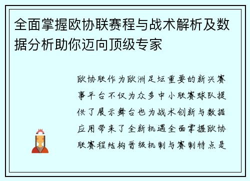 全面掌握欧协联赛程与战术解析及数据分析助你迈向顶级专家